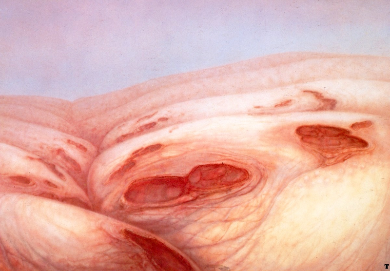 Illustration for article titled The Biological Horrors Of H.R. Giger's Fleshy Landscape Paintings